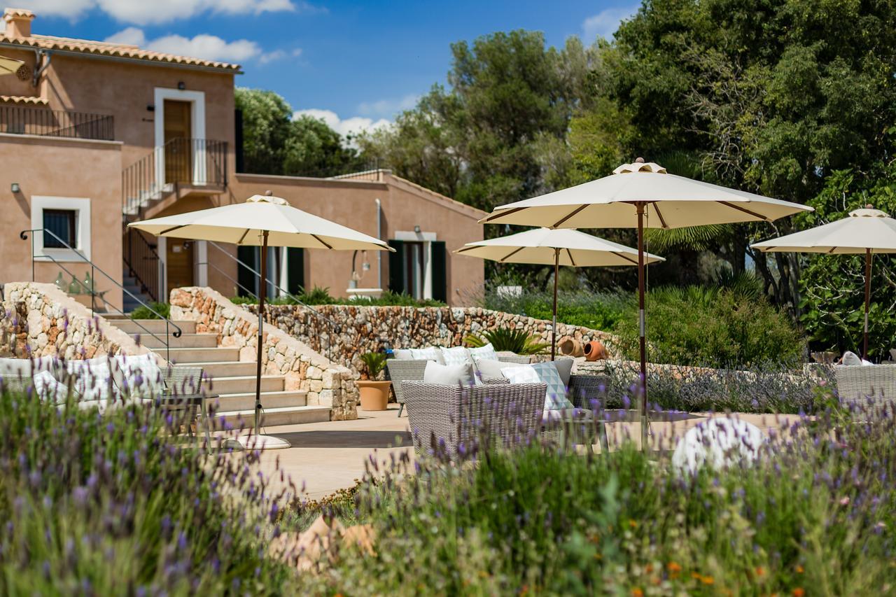 Farm stay Ses Vistes Porreres