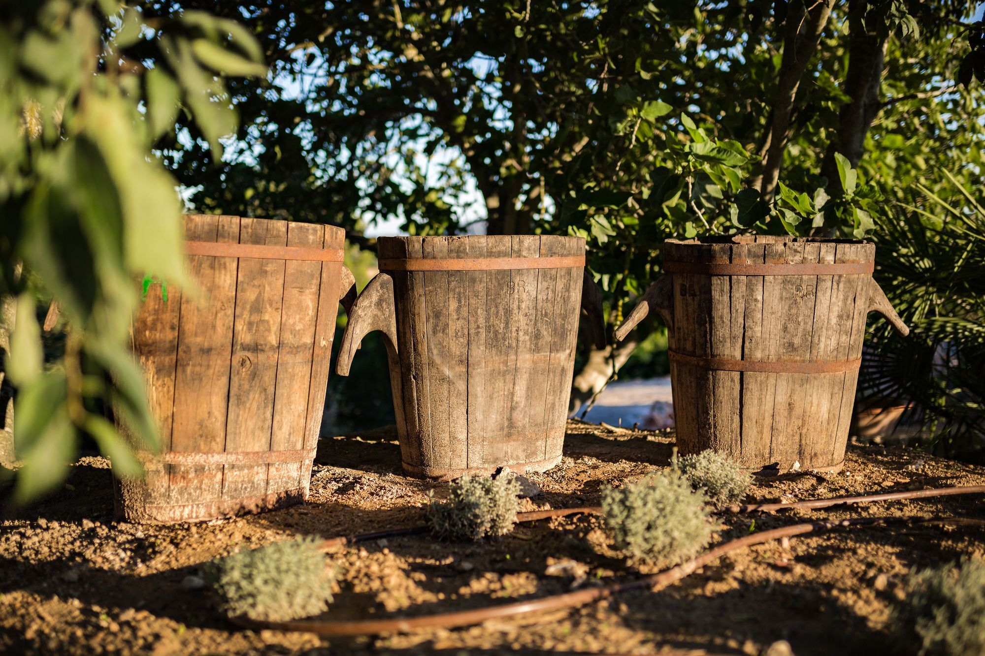 Ses Vistes Farm stay Porreres