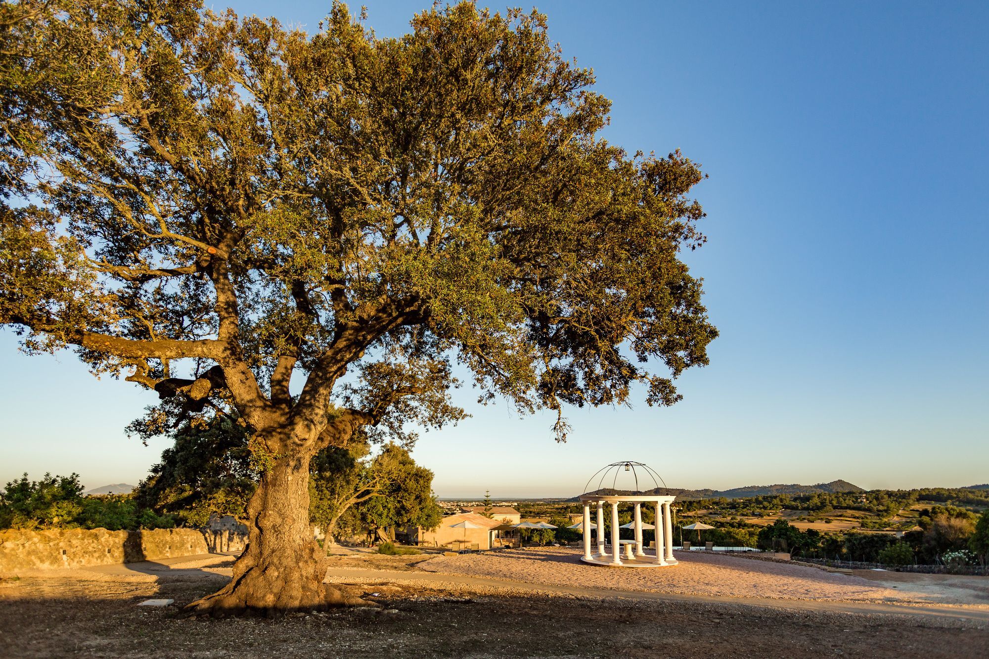 Farm stay Ses Vistes