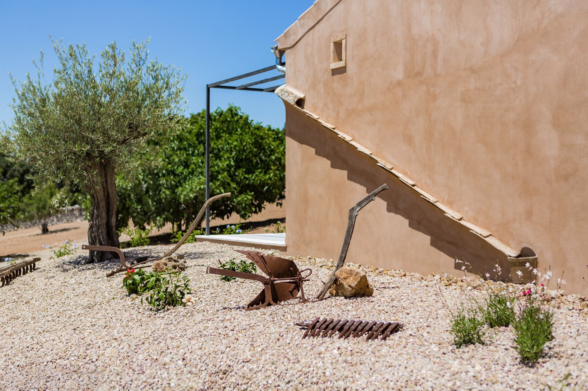 Ses Vistes Farm stay *